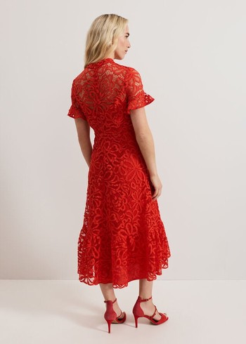 Phase Eight Lula Lace Dress Red Canada | NODGEP-574